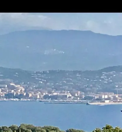 Les Oliviers Olmeto (Corsica)