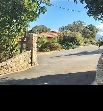 Les Oliviers Olmeto (Corsica)